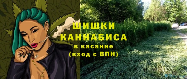 мдпв Волоколамск
