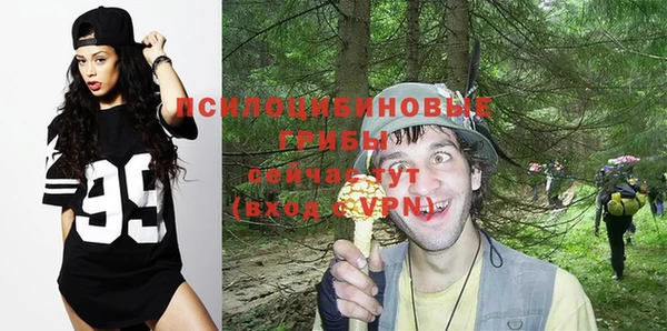 spice Волосово