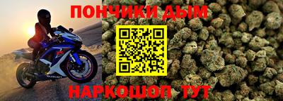 сатива Краснознаменск