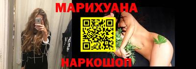 сатива Краснознаменск