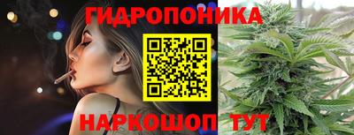 сатива Краснознаменск