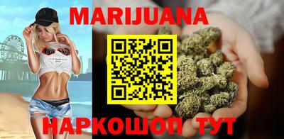 сатива Краснознаменск