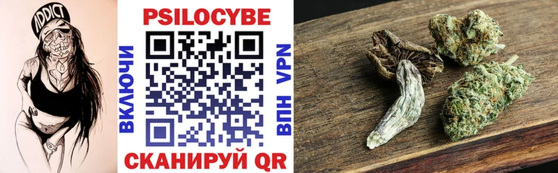 купить наркотик  mega ссылки  Галлюциногенные грибы прущие грибы  Елец 