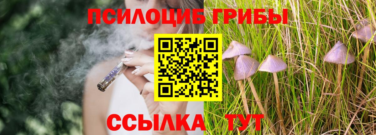Елец  Галлюциногенные грибы Magic Shrooms  Вход с VPN  Псилоцибиновые грибы MAGIC MUSHROOMS 